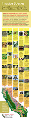 Invasive Species Poster