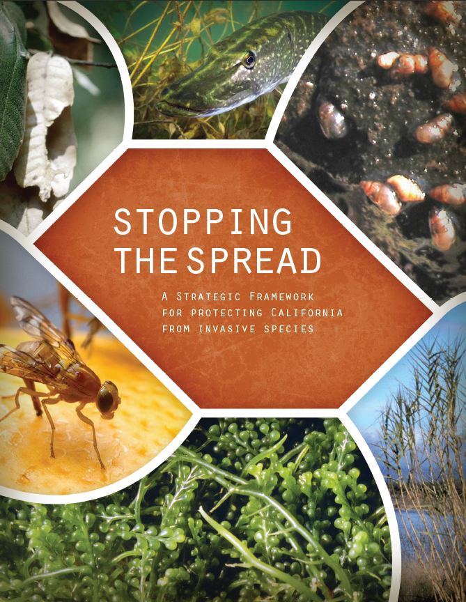 Image of Strategic Framework Cover